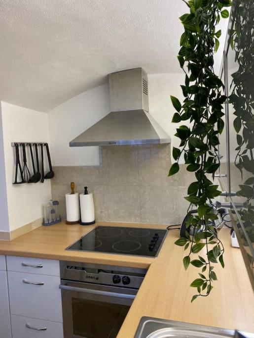 Spacious Flat In The Most Desirable Area Of London Exterior foto